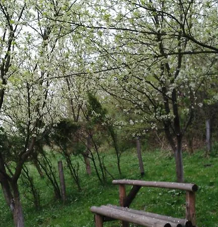 Vacation Visoko