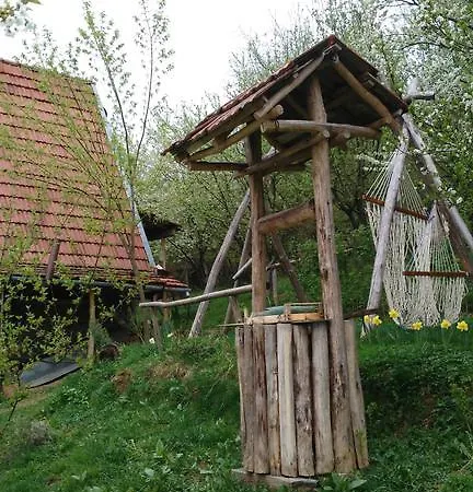 Vacation